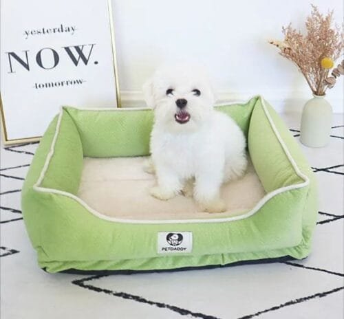 Cama para mascotas (L) verde