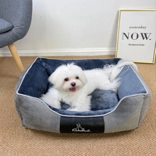 Cama ortopédica para perros (XL)