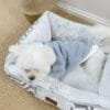 Cama para mascotas (M)