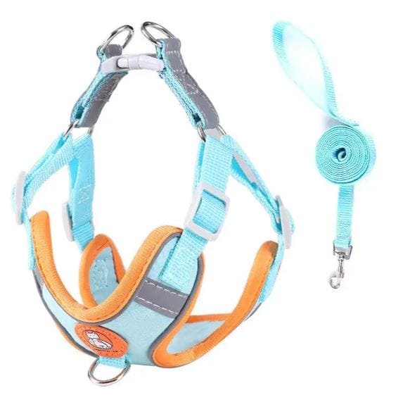 Arnés ajustable para perros Blue