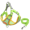 Arnés ajustable para perros Green