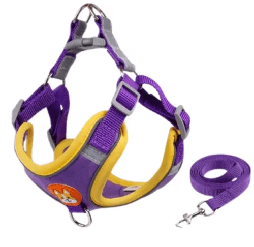 Arnés ajustable para perros Purple