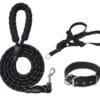 Set 3 piezas para perros Black