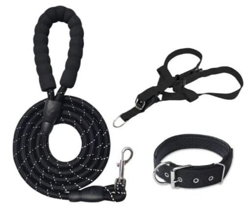 Set 3 piezas para perros Black