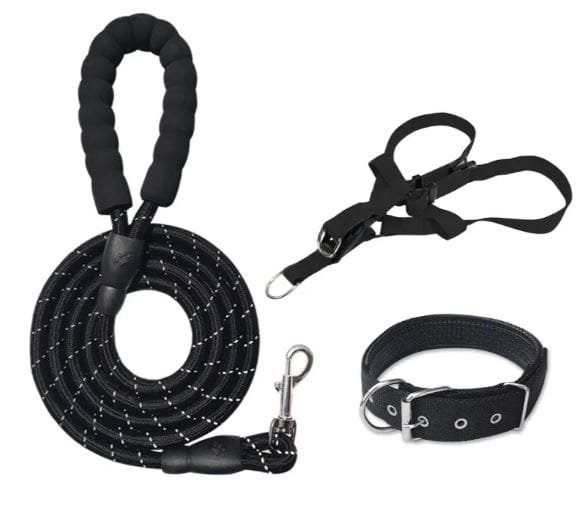 Set 3 piezas para perros Black